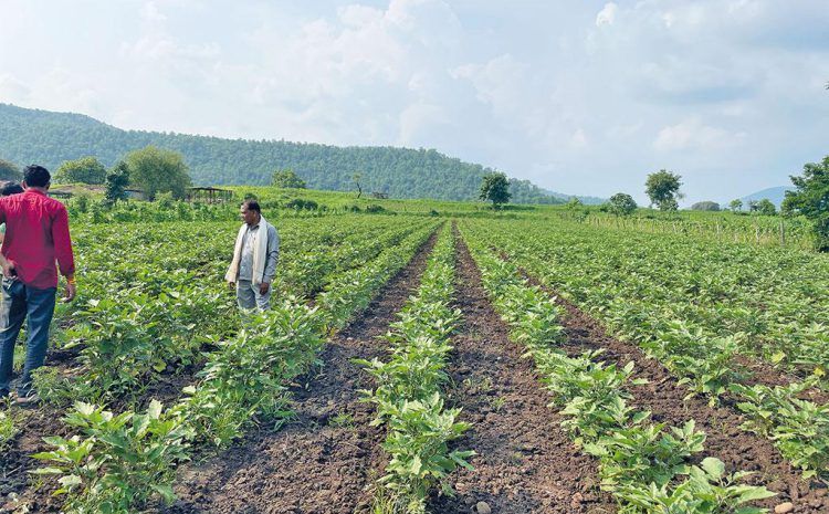 Agriculture et alimentation