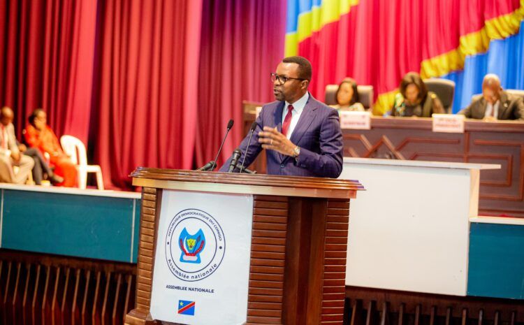  RDC – Projet Loi des Finances 2025