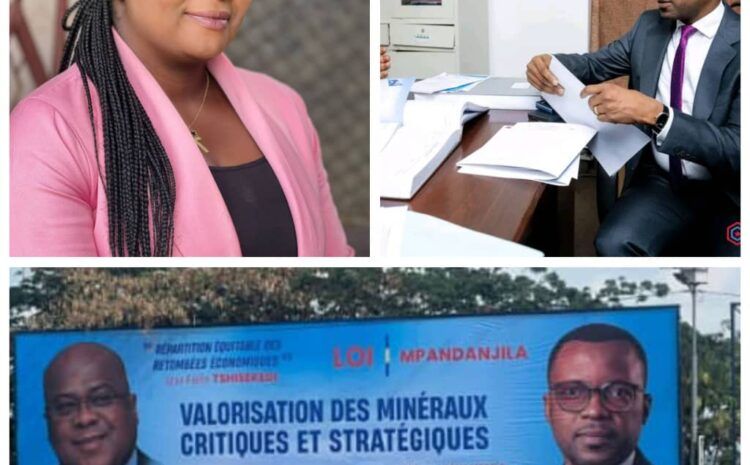  RDC | Me Alexandre Tshiama salue la proposition de loi de l’Honorable Thierry Mulumba sur la transformation locale des minerais